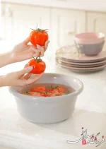 لگن ارج سایز 1 301