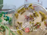 لیوان ماگ پیرکس گلدار سایز 1 250 میل