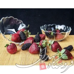 Import placeholder for 17556