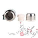فلاکس رومی 600 میل