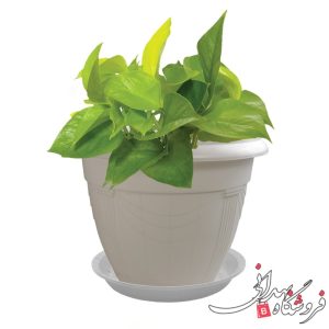 Import placeholder for 24460